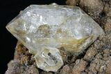 Plate of HUGE Herkimer Diamonds on Sparkling, Druzy Quartz #175393-8